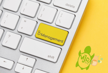 Community Manager